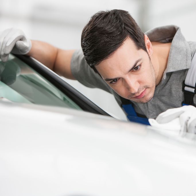 vw volkswagen carprotect polieren